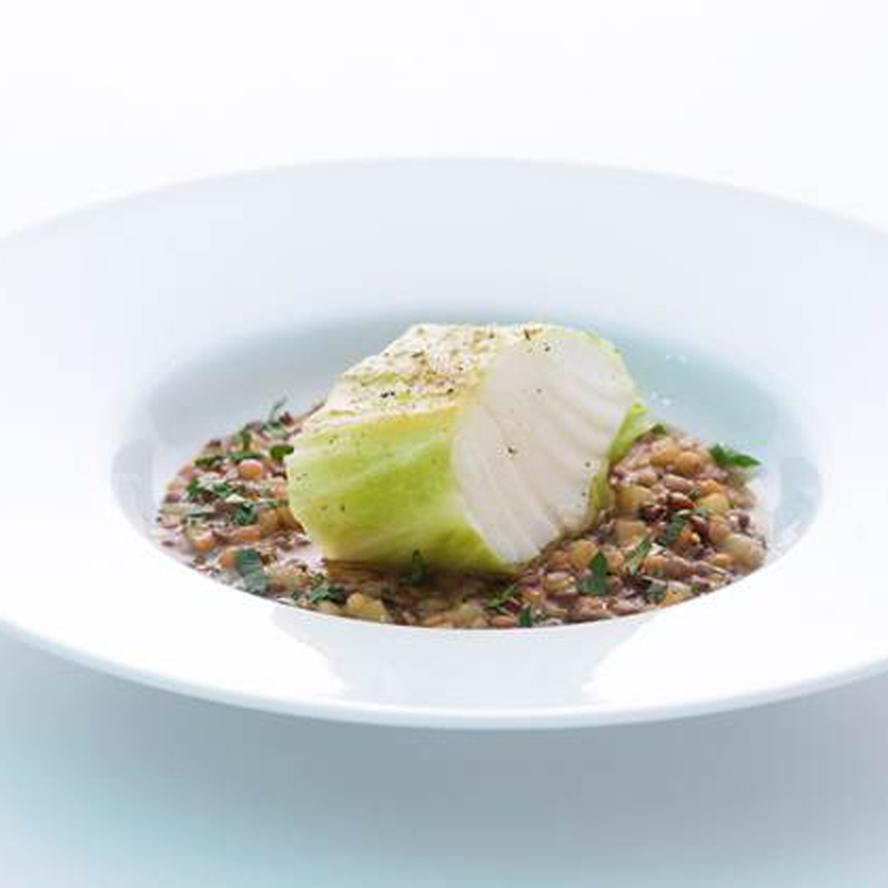 Kabeljau Spitzkohl Mantel