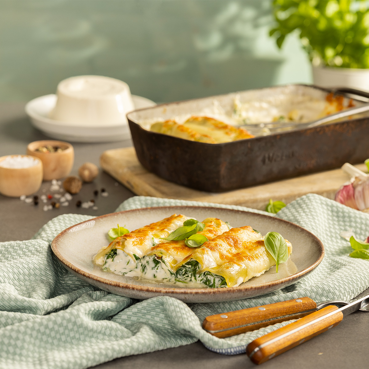 Das Bild zeigt Cannelloni gefüllt mit Spinat und Frischkäse auf einem Teller. Im Hintergrund steht die Auflaufform dazu und Pfeffer & Salz stehen bereit.