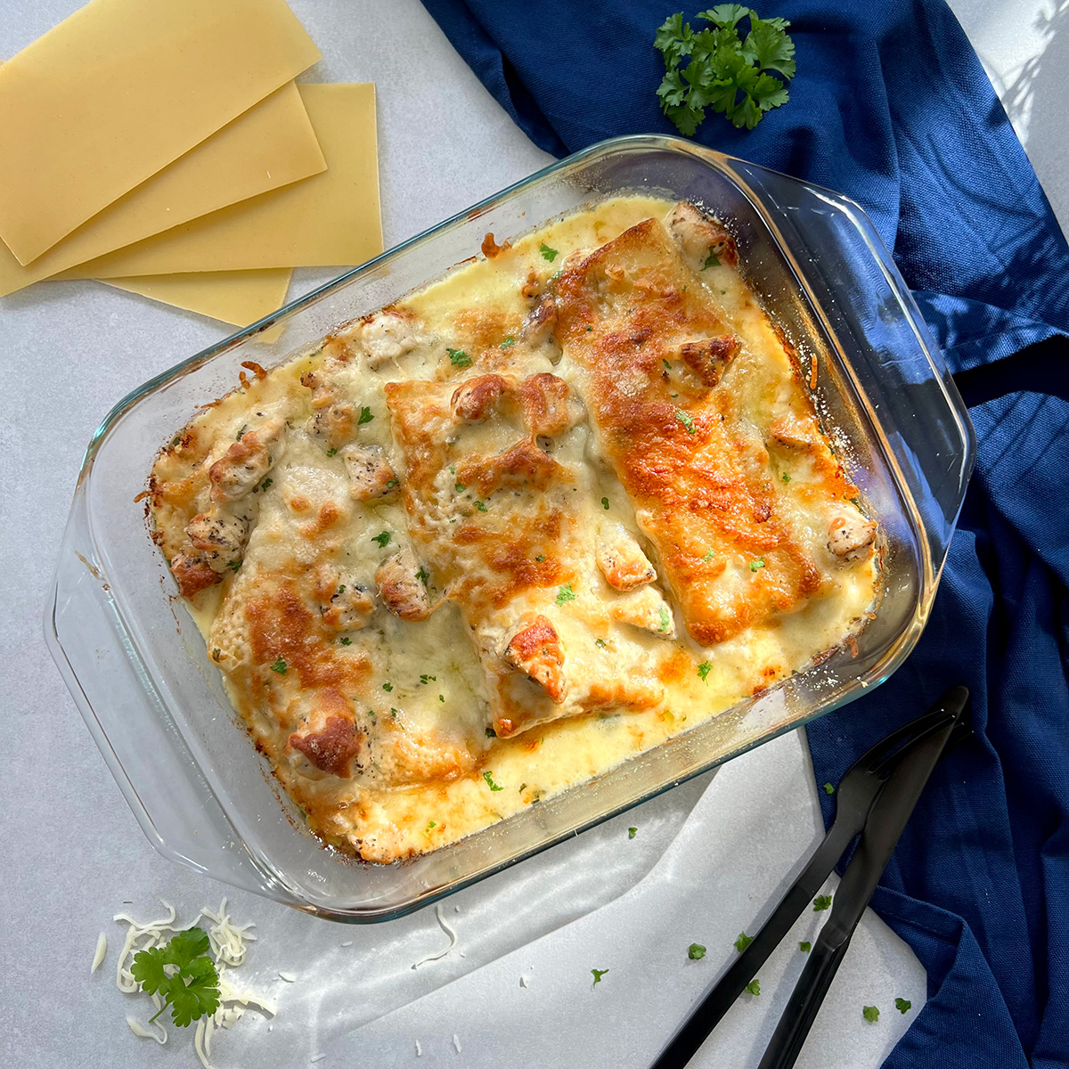 Chicken Alfredo Lasagne