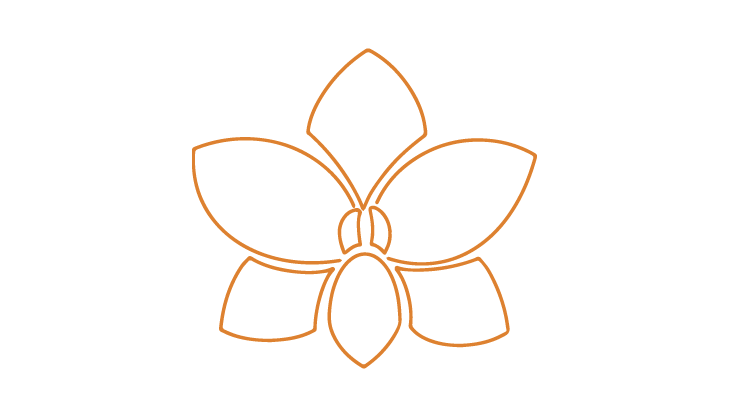 Orchideenblüte mit fünf Blütenblättern in einem Kreis.